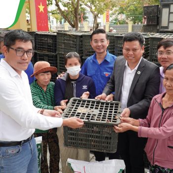 GREENFEED TRAO GÀ GIỐNG, TIẾP SỨC BÀ CON KHÔI PHỤC SINH KẾ SAU THIÊN TAI TẠI HUẾ VÀ ĐÀ NẴNG