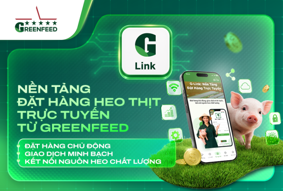 CÙNG G-LINK ĐẶT HÀNG CHỦ ĐỘNG, GIAO DỊCH MINH BẠCH, KẾT NỐI NGUỒN HEO CHẤT LƯỢNG