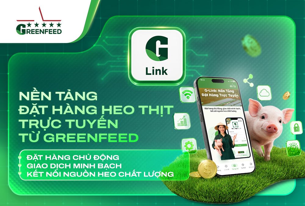 CÙNG G-LINK ĐẶT HÀNG CHỦ ĐỘNG, GIAO DỊCH MINH BẠCH, KẾT NỐI NGUỒN HEO CHẤT LƯỢNG