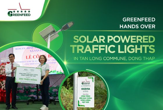 GREENFEED HANDS OVER SOLAR POWERED TRAFFIC LIGHT PROJECT IN TAN LONG COMMUNE, DONG THAP