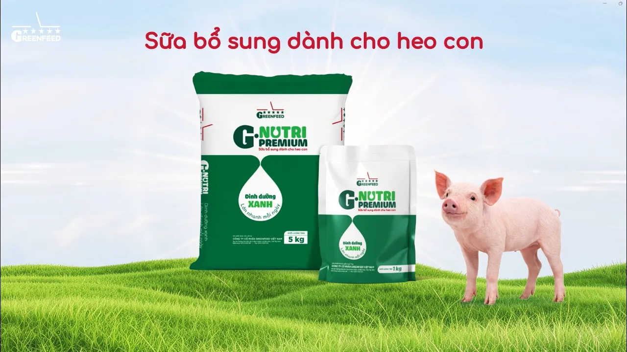 GREENFEED CHÍNH THỨC RA MẮT SẢN PHẨM SỮA DÀNH CHO HEO CON G.NUTRI PREMIUM