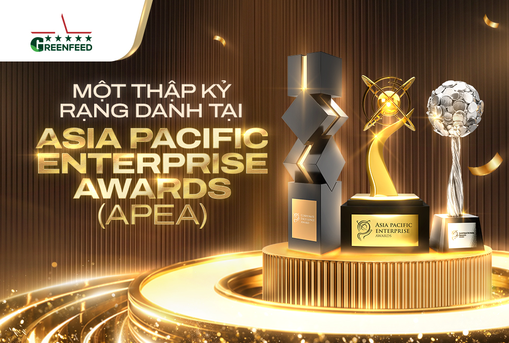 MỘT THẬP KỶ RẠNG DANH TẠI ASIA PACIFIC ENTERPRISE AWARDS